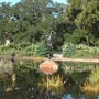 Autre section de l'immense jardin